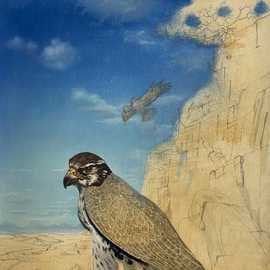   Hawk by Bryan Leister