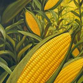   Corn by Bryan Leister