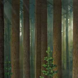 Forest by Bryan Leister | 8 inches  X 10 inches  | oil on board