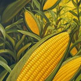 Corn by Bryan Leister | 11 inches  X 16 inches  | oil on board