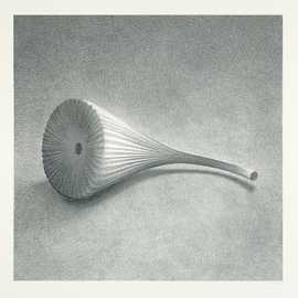 urchin by Bryan Leister | silverpoint on paper | 11 inches  X 11 inches 