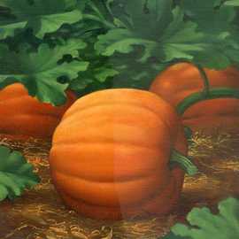 Pumpkin by Bryan Leister | 8 inches  X 10 inches  | oil on board