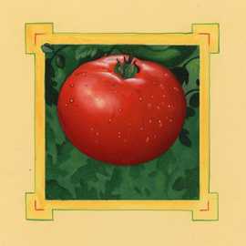 Tomato by Bryan Leister | 5 inches  X 5 inches  | oil on board